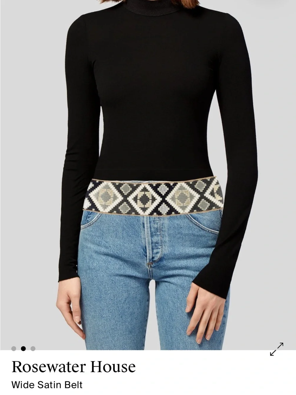 ISO (Do NOT Buy) - Jahan Belt from Rosewater House